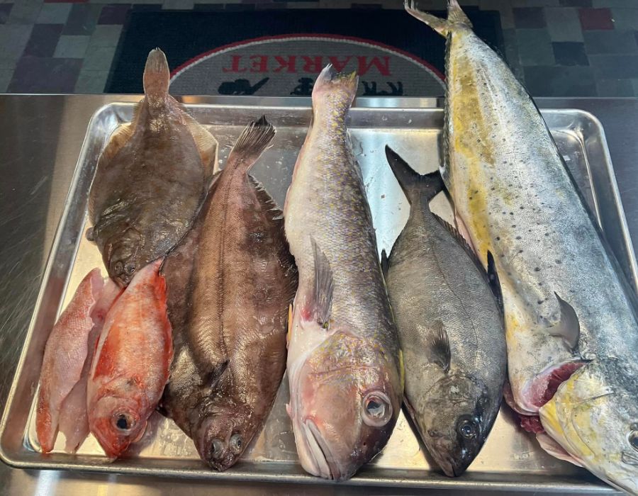 fresh produce richmond market seafood market-036